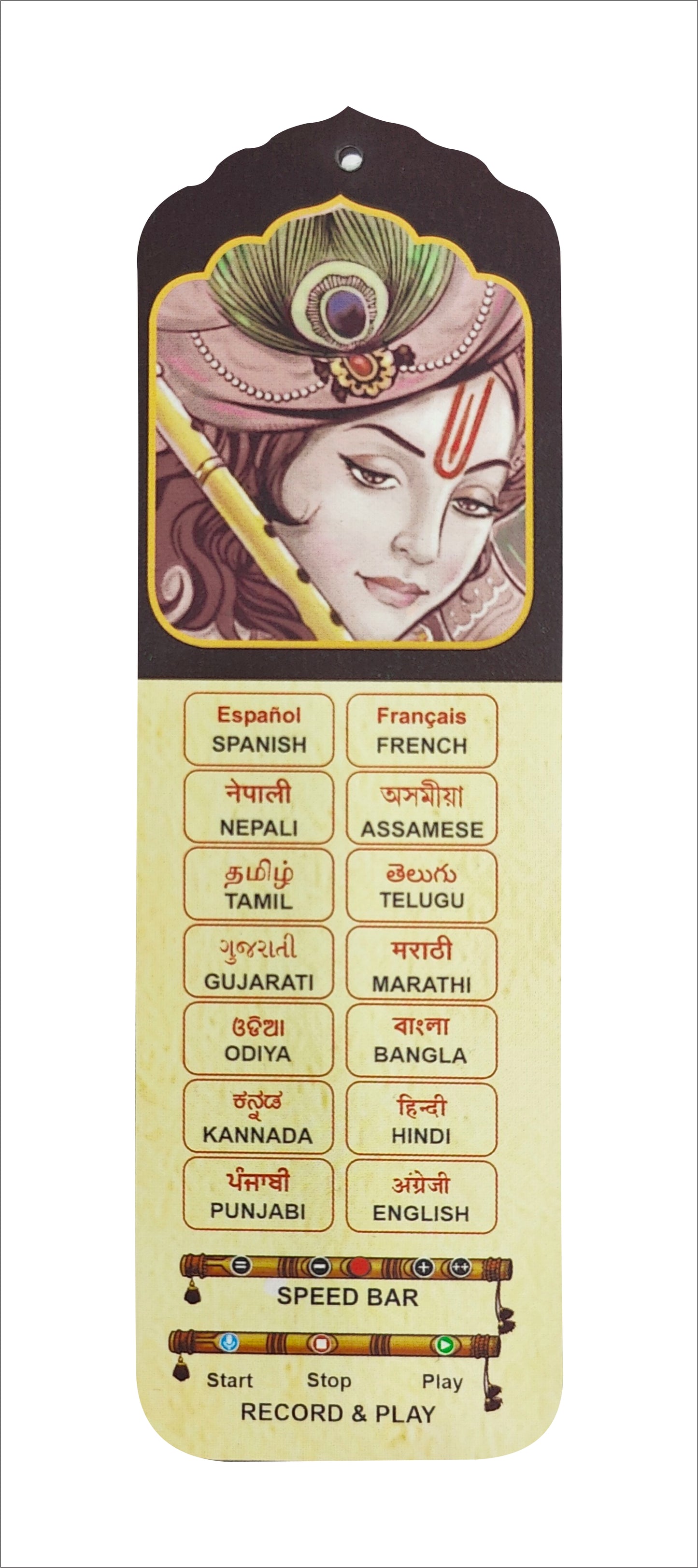 Talking Bhagavad Gita - Platinum Plus Edition